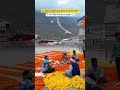 trevling shorts video kedarnath 🙏 ❤️ dham Yatra #trending #shortvideo #mountains