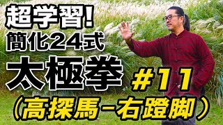 太極拳｜超学習！簡化24式太極拳【#11】高探馬-右蹬脚（ガオタンマ-ヨウドンジャオ）太極拳オンライン｜中村げんこう