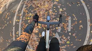 Two Specialized Tarmac SL7s in Prospect Park