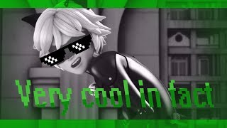 Chat Noir Edit