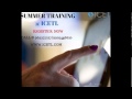 ICE Technology Lab (ICETL) Others(1) ICE Technology Lab (ICETL) Others(1)