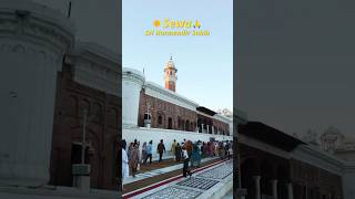 Sewa | Golden Temple 🪯 #sewa #goldentemple #waheguru #langar #amritsar