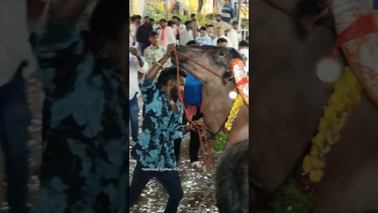 Narayanguda Sadar Festival 2025 | Sadar Festival In Hyderabad 2025. 