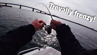 Trevally Fishing in Japan | メッキのルアー釣り