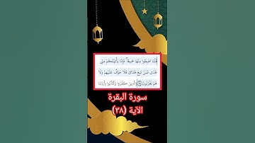 الآية ٣٨ تلاوة خاشعة ومؤثرة للشيخ الزين محمد احمد برواية حفص عن عاصم