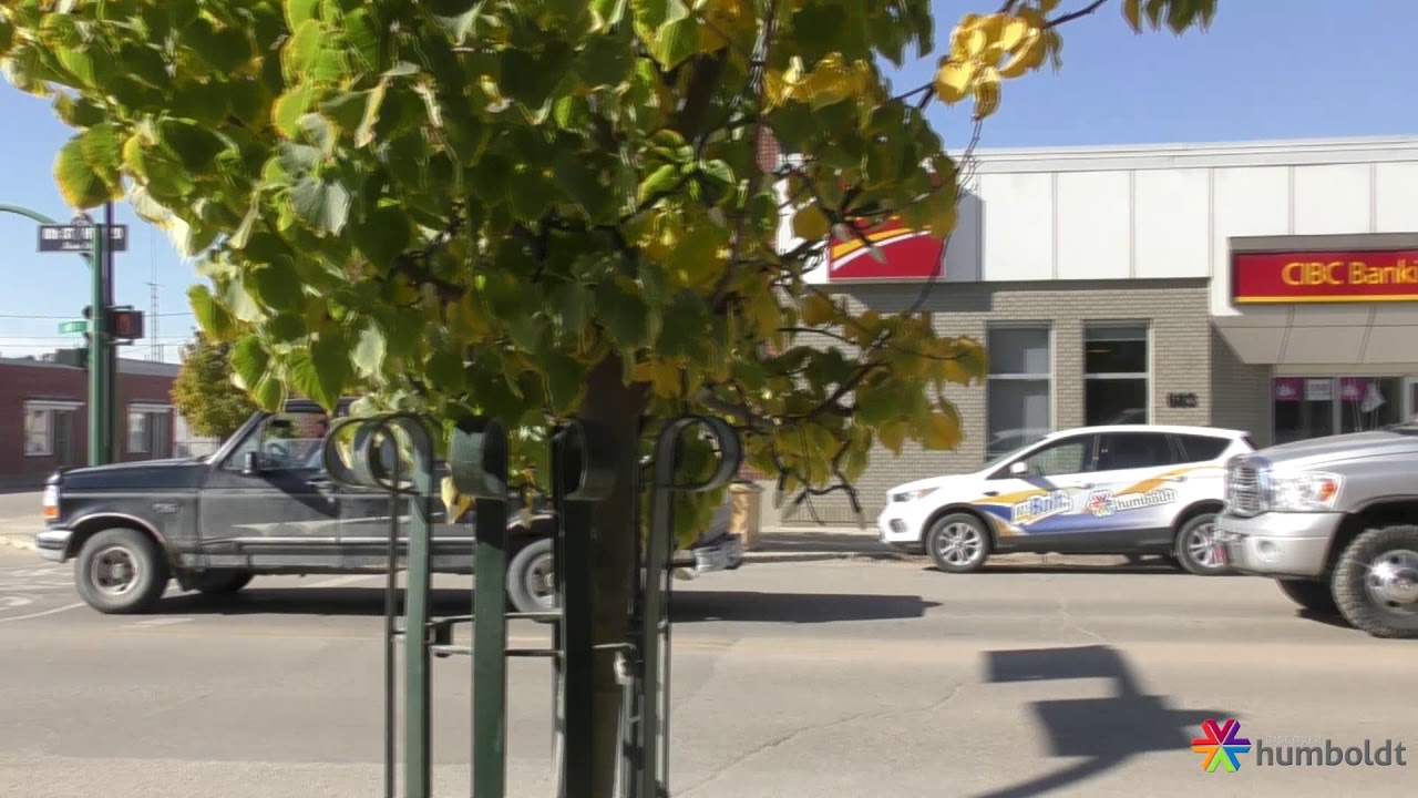 TREVOR ROSS - 2017 CULTURE DAYS