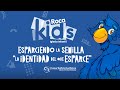 Roca Kids - Paco y la identidad del que esparce la semilla - Casa Sobre la Roca