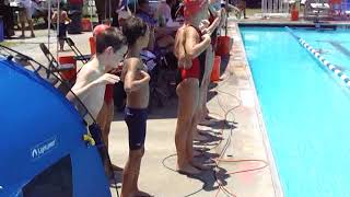 2012 Chicken Dance Swim Meet