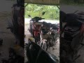 Alhamdulillah ya alloh#bengkelmesin #bengkelracing #bengkelmotor #cilacap