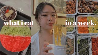 *intuitive* what i eat in a week | thanksgiving edition (korean food)