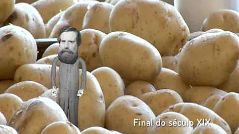 Como é sintetizado a amônia e sua aplicação?