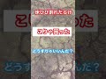 【プロのアドバイス】古い工場を購入・借りた時の床塗装塗替え術#shorts