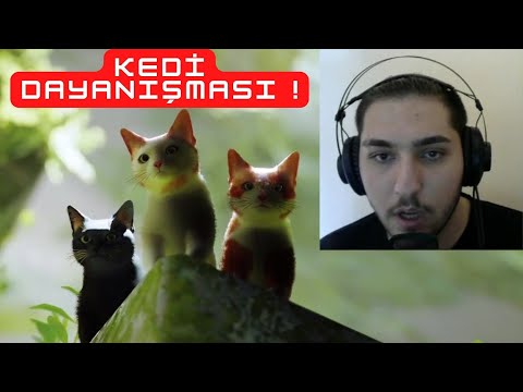 BİR KEDİ OLMADIĞIMIZ KALMIŞTI ! STRAY (1. BÖLÜM)