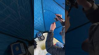 Ice Fishing WHITEFISH on Green Bay With Garmin Livescope!