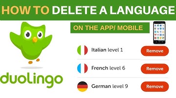 How To Delete A Language On Duolingo App Using Your Phone