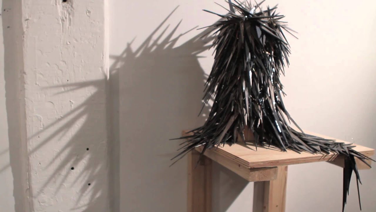 WARPTv presenta: Walt Cassidy