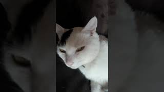 27 De Janeiro De 2022