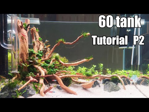 Video Quá trình làm bể thủy sinh 60cm (P2) - youtube
