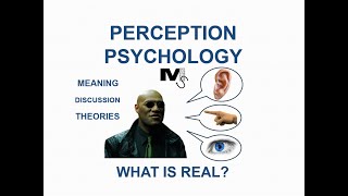 The Psychology of Perception  Simplest Explanation Ever