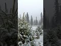🇰🇬 кыш келди ❄️🌨️ #KyrgyzRepublic #Kyrgyzstan #kyrgyztwinsadventures #kyrgyzstan4all #Кыргызстан