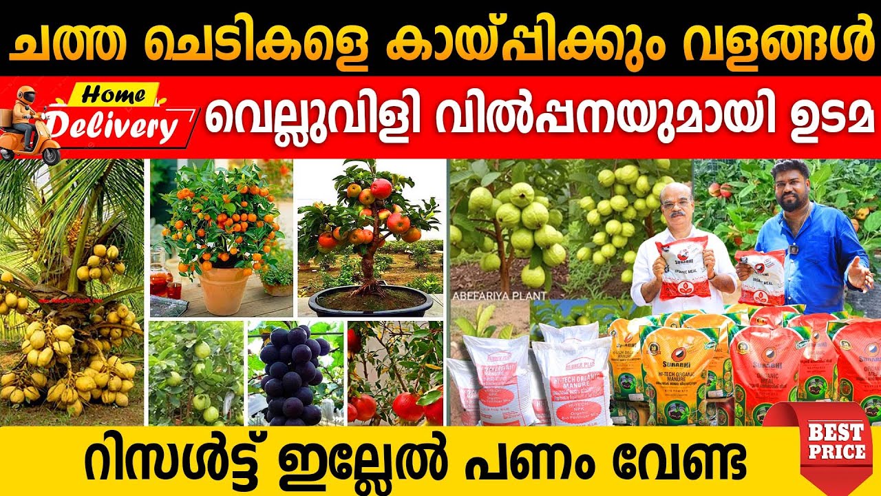 ചത്ത ചെടികളെ പോലും കായ്പ്പിക്കുന്ന വളങ്ങൾ | വെല്ലുവിളി വിൽപ്പനയുമായി ഉടമ |റിസൾട്ട് ഇല്ലേൽ പണം വേണ്ട