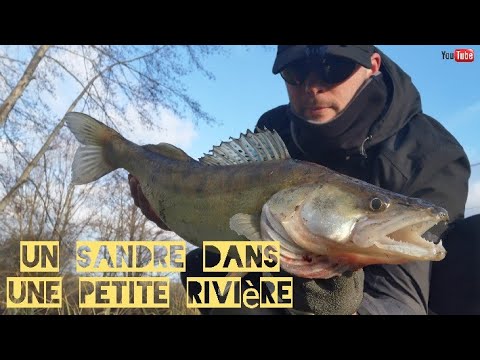 Peche sandre Outlet