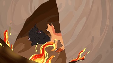 // Dach // Medicine cat MAP part 22