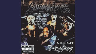 Snoop Dogg | Buck 'Em Ft. Sticky Fingaz (1999) [HQ] | Dre Jr