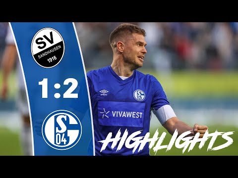 TERODDE-Wahnsinn in der Nachspielzeit | Highlights | SV Sandhausen - FC Schalke 04 1:2