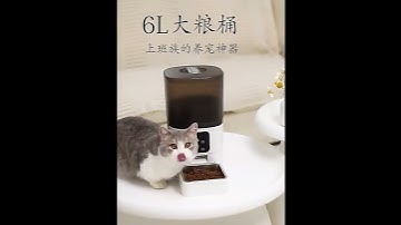 PAPIFEED猫咪自动喂食器宠物智能定时定量猫粮狗粮wifi远程喂食机