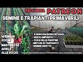Semine e TRAPIANTI Primaverili - FOCUS PATRONS