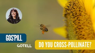 Do you cross-pollinate?