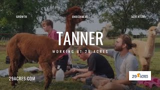 Working at 29 Acres- Meet Tanner!