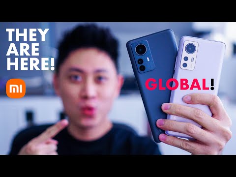 Xiaomi 12 and 12 Pro Global SIDE-BY-SIDE! WHICH TO CHOOSE? ?