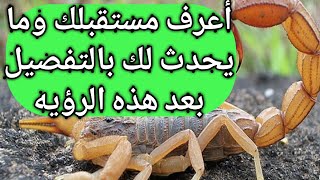 تفسير حلم رؤية العقرب الاسود|الابيض|الاصفر|الاحمر لابن سيرين|للمتزوجه|للعزباء في المنام|لدغتني عقرب