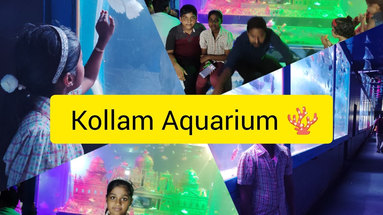 aquarium 🪸kollamsuperenjoy YouTube