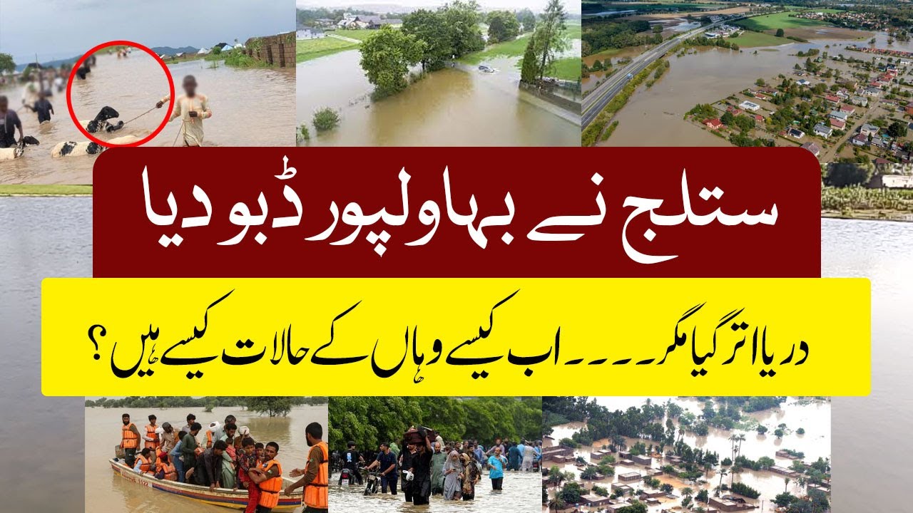 "Bahawalpur Flood Emergency 🚨 | Sutlej River Overflow | Alkhidmat Camps Shelter Flood Victims"