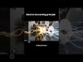 How Electric ceiling fans, short explanation