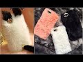 DIY Phone Cases Easy & Cute Phone Projectes