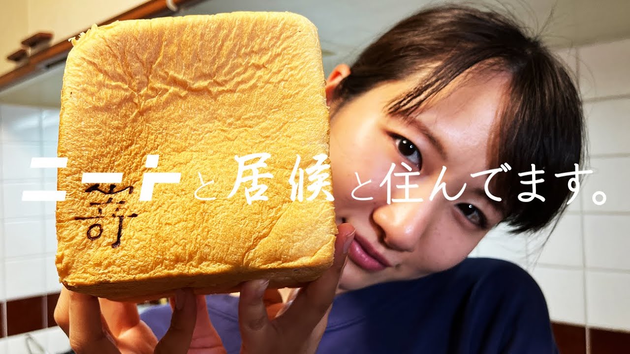 パンを食べよう