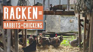 The Racken House Rabbits & Chickens That Heal The Land