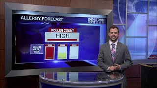 Tree pollen levels on the rise in western Massachusetts