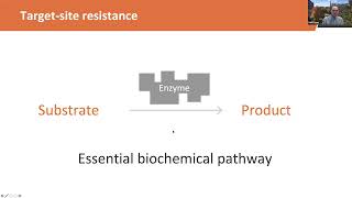 Why Care About Metabolic Herbicide Resistance?