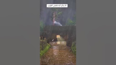 قران كريم #سورة_الإسراء #تلاوة_خاشعة #الابذكرالله_تطمئن_القلوب