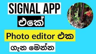 Signal app camera photo editor sinhala | photo editing on signal app sinhala | signal app sinhala screenshot 2