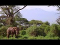 Vanishing Heritage: Protecting the Elephants of Amboseli