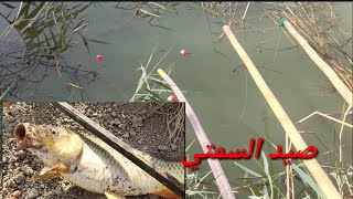 صيد سمك السمتي في الشص.. مشاهده ممتعه #اكرم_الصياد