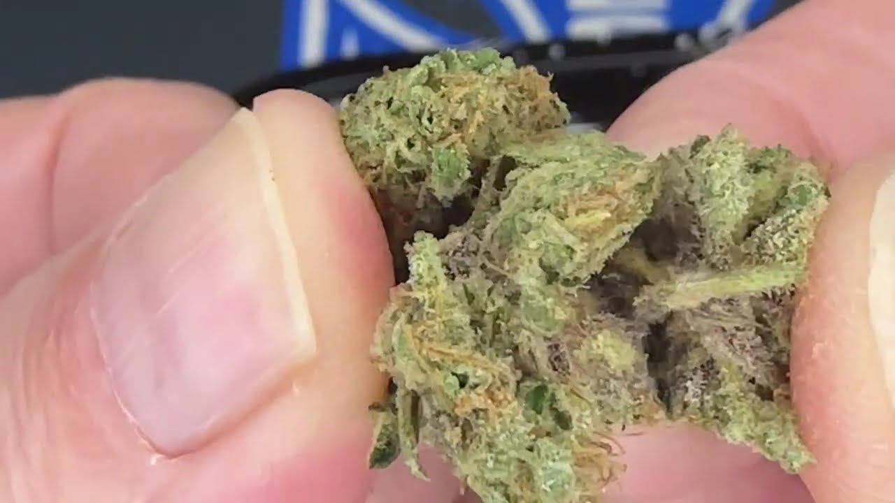 Raid My Stash Canna Cured Cheddar Cheeze