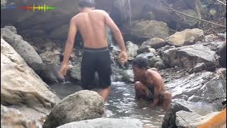 kumpulan lagu fauzana 