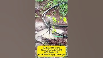 Béc G5 cải tiến lưu lượng 120 lít /giờ  này làm bông cà phê thì còn gì bằng